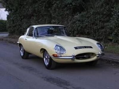 Others Used 1963 Jaguar E-Type Coupe | £99,995
