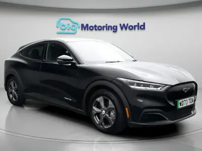 Used Ford Mustang Mach-E Standard Range 194 kW (265 HP) 2024 SUV