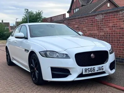 Used Jaguar XF R-Sport 180 HP (132 kW) 2016 White Sedan