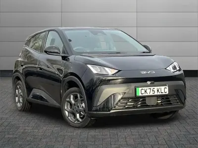 Gebraucht BYD Dolphin Surf