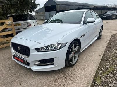 Used Jaguar XE R-Sport 180 HP (132 kW) 2017 White Sedan