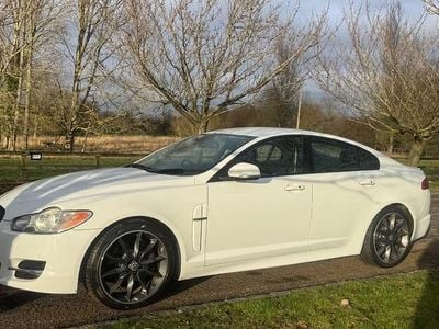 White Used 2011 Jaguar XF Portfolio Sedan | £5,490 (Fair price)