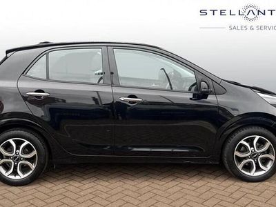 Used Kia Picanto 67 HP (49 kW) 2023 Blue Hatchback