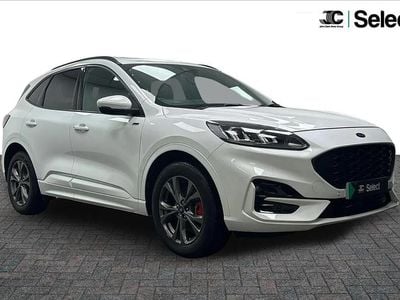 Used Ford Kuga ST-Line 221 HP (162 kW) 2021 White SUV