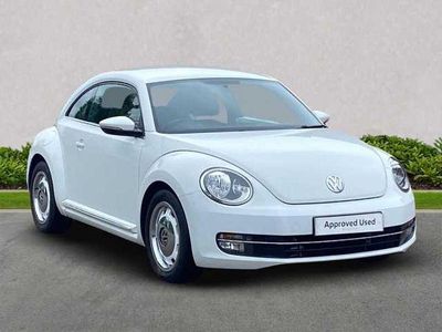 VW Beetle