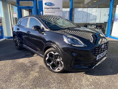 Used Ford Puma ST-Line X 125 HP (91 kW) 2025 Black SUV