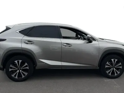 Used Lexus NX300h Sport Line 2019 Silver SUV