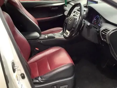 Used Lexus NX300h Luxury Line 197 HP (144 kW) 2018 White SUV