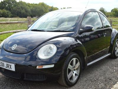 VW Beetle
