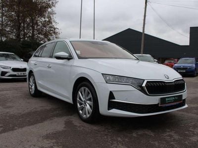 Used Skoda Octavia SE L 110 HP (80 kW) 2025 White Estate