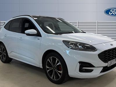 Used Ford Kuga ST-Line X 190 HP (139 kW) 2023 White SUV