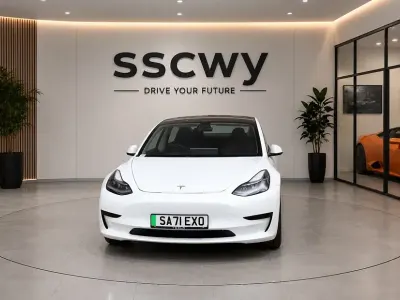 Used Tesla Model 3 Standard Range Plus 366 kW (498 HP) 2021 Sedan