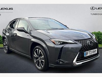 Used Lexus UX 250h 184 HP (135 kW) 2024 SUV