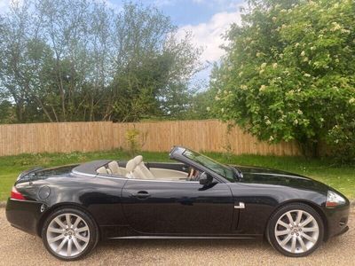 Jaguar XK