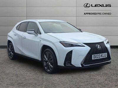 White Used 2023 Lexus UX Sport Line SUV | £25,995 (Fair price)