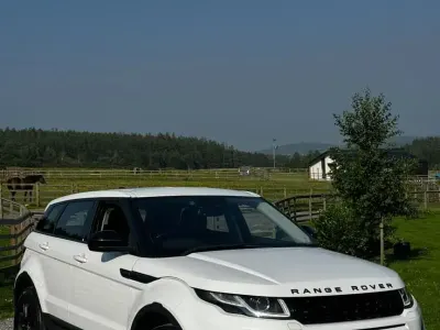 Used Land Rover Range Rover evoque SE 240 HP (176 kW) 2019 White SUV