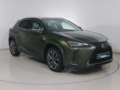 Used Lexus UX Sport Line 184 HP (135 kW) 2022 SUV