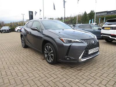 Used Lexus UX 250h 180 HP (132 kW) 2024 Grey SUV