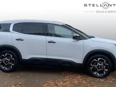 White New 2025 Citroën C5 Aircross SUV | £21,870 (Fair price)