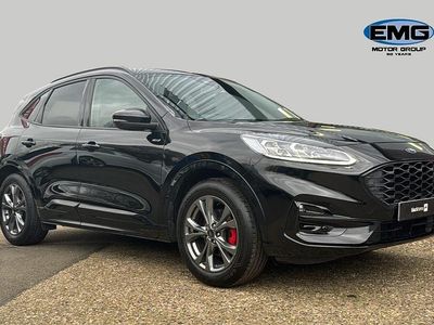 Used Ford Kuga ST-Line 150 HP (110 kW) 2023 Black SUV