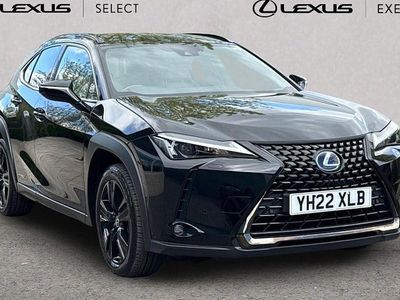 Usado Lexus UX 250h 184 CV (135 kW) 2024 SUV