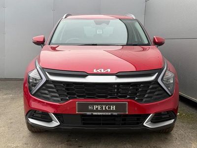 Used Kia Sportage 207 HP (152 kW) 2024 Red SUV