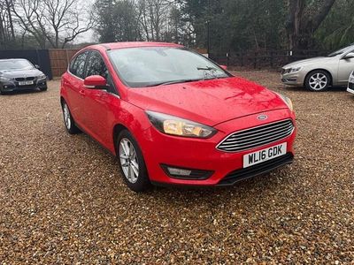 Used Ford Focus Zetec 125 HP (91 kW) 2016 Red Hatchback