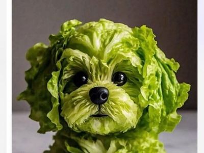 Used Nissan Juke Acenta 2013 White SUV