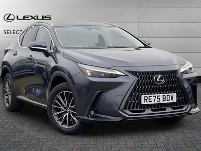 Used Lexus NX350h 243 HP (178 kW) 2025 Grey SUV