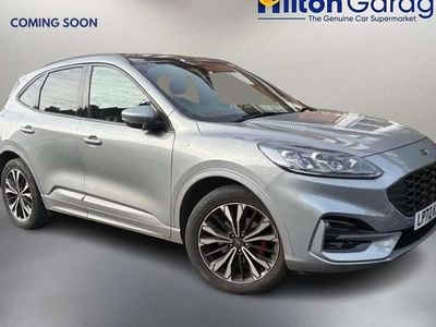 Used Ford Kuga ST-Line X 2022 Silver SUV