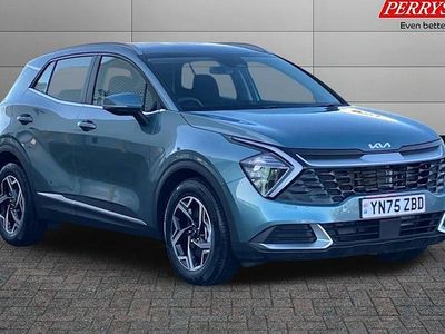 Used Kia Sportage 159 HP (116 kW) 2024 SUV