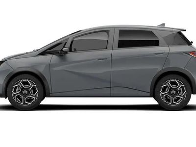 New BYD Dolphin Design 150 kW (204 HP) 2026 Hatchback