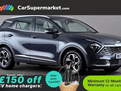 Used Kia Sportage 159 HP (116 kW) 2024 Grey SUV