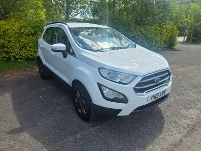 Second-hand Ford Ecosport Zetec 100 CP (73 kW) 2019 Alb SUV