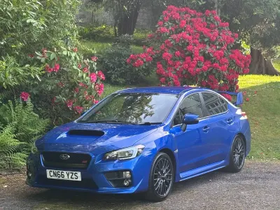 Used Subaru WRX STI 2016 Blue Sedan