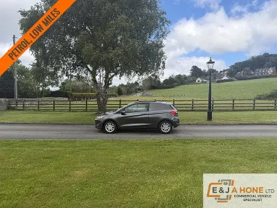 Used Ford Fiesta 85 HP (62 kW) 2019 Grey Hatchback