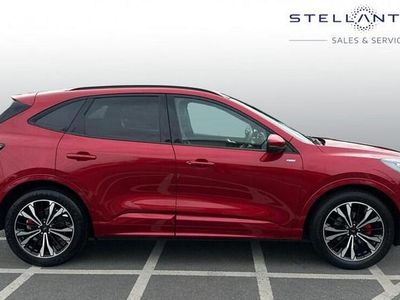 Used Ford Kuga ST-Line X 187 HP (137 kW) 2022 Red SUV