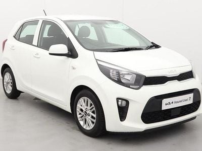 Used Kia Picanto 66 HP (48 kW) 2023 White Hatchback