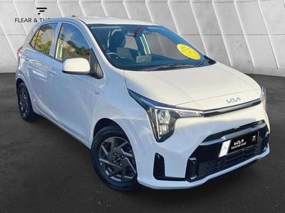Used Kia Picanto 2024 White Hatchback