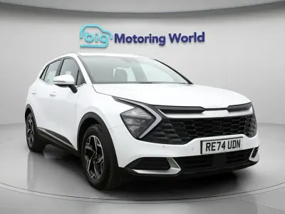Used Kia Sportage 157 HP (115 kW) 2024 White SUV