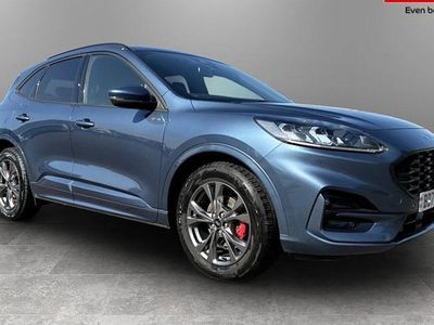 Käytetty Ford Kuga ST-Line 150 HP (110 kW) 2023 Katumaasturi