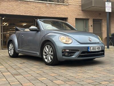VW Beetle