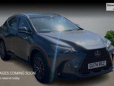 Used Lexus NX450h+ 2024 Grey SUV