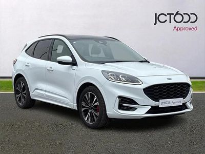 Used Ford Kuga ST-Line X 147 HP (108 kW) 2023 White SUV