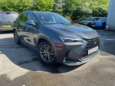 Used Lexus NX450h+