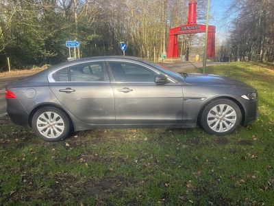 Used Jaguar XE Prestige 2017 Grey Sedan