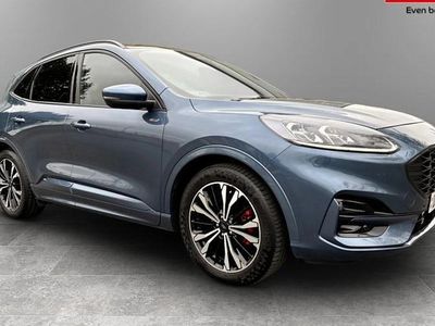 Used Ford Kuga ST-Line X 190 HP (139 kW) 2023 SUV
