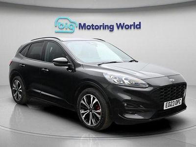Used Ford Kuga ST-Line X 190 HP (139 kW) 2023 Black SUV