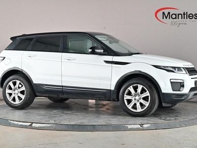 Used Land Rover Range Rover evoque SE 180 HP (132 kW) 2017 White Estate