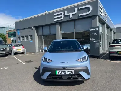 Used BYD Dolphin Surf